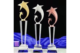 CÚP PHA LÊ làm tại Gò Vấp - Lê Minh