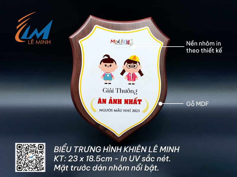 BIỂU TRƯNG GỖ HÌNH KHIÊN